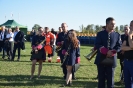 Goleszyn 2019